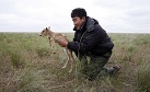 Охранную зону единственного в Калмыкии заповедника намерены увеличить вдвое