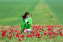 Для фестиваля тюльпанов в Калмыкии МегаФон увеличил емкость сети в два раза