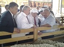 Калмыцкие овцы получили 26 медалей всероссийской выставки